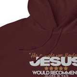 JESUS - HIS EXAMPLE WAS FLAWLESS HOODIE *BLESS