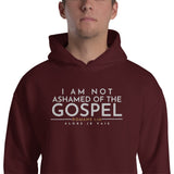 I AM NOT ASHAMED OF THE GOSPEL HOODIE *BLESS