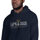 I AM A SON OF THE KING HOODIE *BLESS