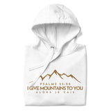 MOUNTAIN GOLD LUXURY HOODIE STYLE BLESS