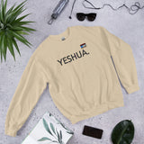 YESUHA MESSENGER *W