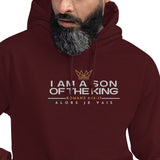 I AM A SON OF THE KING HOODIE *BLESS
